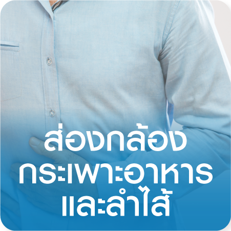 Gastrointestinal Endoscopy Program