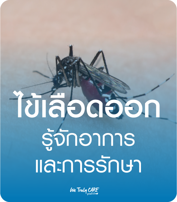 โรคไข้เลือดออก รู้จักอาการและการรักษา